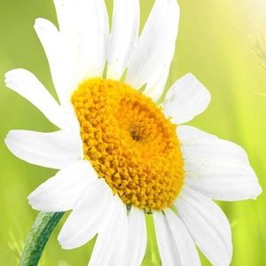 Meet your Posher, Debra